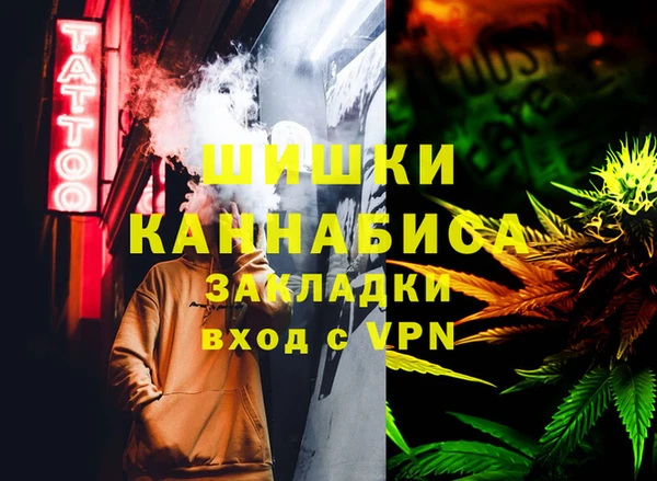 гидра Аркадак