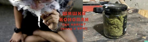 гидра Аркадак