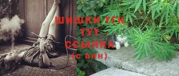 гидра Аркадак