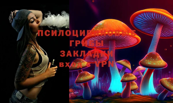 гидра Аркадак