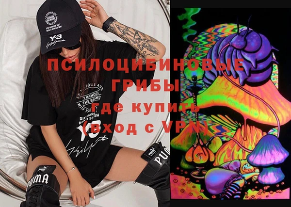 гидра Аркадак